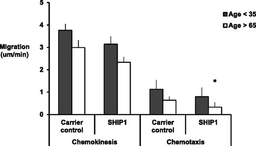Figure 6. Chemokinesis and chemotaxis toward CXCL8 in the presence of a SHIP1 selective inhibitor. Neutrophils from healthy subjects (aged <35 or >65 years of age) (n = 6 each group) migrated toward CXCL8 (100 nM) following incubation with carrier control or the SHIP1 selective inhibitor for 45 minutes. Measurements were taken from 10 randomly selected cells from each individual. The average results for each subject were calculated, and an overall average was used for comparisons between groups. Bars represent the mean migratory parameter with SD shown as the error line. * indicates significant decrease in migratory parameter from carrier control data (P < .05).