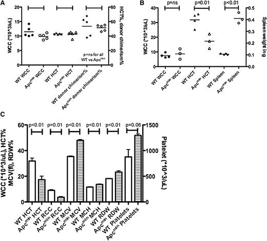 Figure 5. Apcmin MDS/MPD is predominantly cell extrinsic. (A) Transplantation of 106 bone marrow cells from Apcmin MDS/MPD into sublethally irradiated CD45.1 recipients. White cell count (WCC × 103/μL), hematocrit (HCT%), and donor cell chimerism (%)16 weeks after transplantation. WCC: 9.9 × 103/μL Apcmin versus 11.5 × 103/μL WT, P = .12; HCT: 42.5% Apcmin versus 42.9% WT, P = .81; 51.4% Apcmin versus 53.4% WT, P = .75. (B) Bone marrow transplantation of 1 × 106 CD45.1 congenic bone marrow cells into sublethally irradiated Apcmin or WT recipients. Sublethal irradiation was used because of previous reports describing intolerance of lethal irradiation in Apcmin mice.5 WCC × 103/μL, HCT%, spleen weight (g) WCC: 8.64 × 103/μL Apcmin versus 7.53 × 103/μL WT, P = .59; HCT: 17.3% Apcmin versus 31.8% WT, P = .01; spleen: 0.41 g Apcmin versus 0.11 g WT, P < .01. (C) Peripheral blood parameters, including red cell count (RCC × 106/μL), hematocrit (HCT%), mean corpuscular volume (MCV fl), mean corpuscular hemoglobin (pg), red cell distribution width (RDW%), and platelet count (×103/μL).
