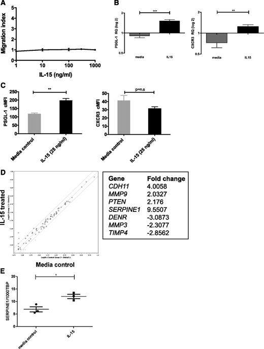 Figure 5. IL-15 is not directly chemotactic but induces expression of molecules associated with leukocyte trafficking. (A) SD-1 cells were placed in the top section of a bare filter transwell (5 μM pore size) and exposed to IL-15 (1, 10, 100, 300, or 1000 ng/mL) in the bottom section of the transwell. Transmigration was assessed following a 3-hour incubation period. The migration index was calculated by counting the total number of cells transmigrated in response to IL-15 as a proportion of the total number of cells that transmigrated in response to chemotaxis buffer alone (spontaneous migration). Data shown are from 1 experiment performed in triplicate. (B) SD-1 cells (n = 3 independent cultures) were treated with IL-15 (25 ng/mL) for 72 hours and levels of mRNA encoding PSGL-1 and CXCR3 measured by qPCR. Results are expressed as relative quantities with the level in media alone arbitrarily set to 1.0. (C) SD-1 cells (n = 3 independent cultures) were treated as in panel B, and the surface expression of PSGL-1 and CXCR3 was analyzed by fluorescence-activated cell sorter. Corrected mean fluorescence intensity (cMFI) represents MFI-specific antibody − MFI isotype control. (D) Following IL-15 treatment as in panel B above, expression of 95 genes associated with tumor metastasis was assessed using a commercially available RT2 PCR profiler array. Data are represented as a scatterplot (relative quantification log10), and solid lines represent twofold down- or upregulation. The 7 genes showing >twofold change with IL-15 treatment are listed. (E) Validation of hits from panel D by qPCR of SD-1 cells (n = 3 independent cultures) treated with media ±IL-15 (25 ng/ml) for 72 hours confirmed modest upregulation of Serpine1 by IL-15. Data show the number of copies of Serpine1 per 1000 copies of the housekeeping control gene TBP. All data are mean ± standard error of the mean and were analyzed by unpaired Student t tests. *P < .05, **P < .01, ***P < .001.
