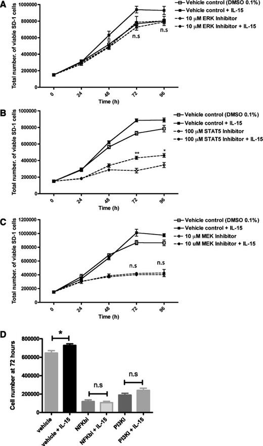 Figure 7. IL-15–induced proliferation of SD-1 cells is mediated via the MEK/ERK signaling pathway. SD-1 cells were treated with (A) 10 μM ERK1/2 inhibitor (dashed lines), (B) 100 μM STAT5 inhibitor (dashed lines), (C) 10 μM MEK inhibitor (dashed lines), (D) 5 µM NF-κB inhibitor (IKK-2 inhibitor IV), or 20 µM PI3K inhibitor (LY 294002) or matched vehicle controls (0.1% DMSO) (solid lines) with (solid symbols) or without (open symbols) additional IL-15 (25 ng/mL). Viable cell numbers were determined using trypan blue. Data are mean ± standard error of the mean. Unpaired Student t tests were used to compare cell counts at 72 and 96 hours in drug-treated IL-15 vs no IL-15 groups. *P < .05, **P < .01, n.s = no significant difference. Vehicle-treated IL-15 vs no IL-15 groups showed a significant (P < .05) increase in cell numbers with IL-15 treatment at 72 and 96 hours as previously shown (Figure 2C). Representative graphs of 3 independent experiments are shown.