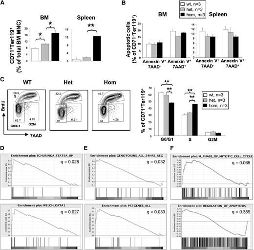 Figure 5. Homozygous JAK2V617F expression increases the number of adult erythroblasts with increased proliferation but does not reduce apoptosis; these changes are associated with expression of genes related to cell cycle and/or mitosis. (A) JAK2R/R mice show a marked increase in CD71+Ter119+ erythroblasts. Flow cytometry was performed on BM and spleen mononuclear cells (MNCs) using Ter119 and CD71 antibodies. (B) JAK2V617F expression does not affect erythroblast apoptosis. Flow cytometry was performed using Annexin-V and 7-AAD on BM and spleen erythroblasts. Histograms show percentages of apoptotic cells in CD71+Ter119+ erythroblast populations from both BM and spleen. (C) Homozygous JAK2V617F expression increased erythroblast proliferation. Lineage-negative BM cells were cultured to assess erythroid differentiation in vitro. A 5-bromo-2′-deoxyuridine (BrdU) cell proliferation assay was performed after 4 days in culture on the gated erythroblast population as shown in the plots with the G0/G1, S, and G2/M phases indicated. Asterisks indicate significant differences by Student t test (**P < .01). Data are shown as mean ± SEM. (D) Gene set enrichment analysis (GSEA) showing enrichment for STAT5 and GATA1 target genes in JAK2R/R samples relative to non-JAK2R/R samples (pooled datasets from 3 biological replicates each of WT and JAK2V617FR/+ littermates). (E) GSEA showing enrichment of gene sets associated with DNA-damaging agents and the p53 response in JAK2R/R samples. (F) GSEA showing enrichment in the JAK2R/R samples for gene sets related to regulation of the cell cycle, but no enrichment for genes associated with apoptosis.