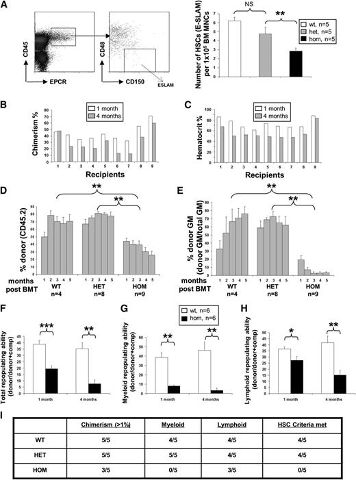 Figure 6. Homozygous JAK2V617F expression compromises HSC self-renewal. (A) Representative flow cytometry plot for analysis of the E-SLAM HSC population (EPCR+CD45+CD150+CD48−). The histogram shows significantly reduced frequency of E-SLAM HSCs in BM from JAK2R/R mice at 6 to 8 weeks of age compared with WT and JAK2R/+. (B) JAK2R/R chimerism (homozygous JAK2V617F allele burden) was reduced in noncompetitive transplant recipients at 4 months compared with 1 month; (C) the reduction of the allele burden was associated with a decline in hematocrit levels in 9 individual recipients of JAK2R/R BM cells. (D) Histograms show the percentage of total donor chimerism (% of CD45.2+ cells) in noncompetitive transplant recipients over time. (E) Histograms show the percentage of donor chimerism in myeloid cells (% of CD45.2+ cells in total Mac-1+ and/or Ly6G+ cells) in noncompetitive transplant recipients over time. (F) Histograms show reduced total repopulating capacity of BM cells from 6- to 8-week-old donor mice (backcrossed 10 generations onto C57/Bl6 background) in competitive transplant recipients. Histograms are presented as a ratio of donor/(donor+comp). (G,H) Histograms show the repopulating capacity of donor cells in the myeloid and lymphoid lineages in competitive transplant recipients (ratio of donor/(donor+comp) in total Mac-1+ and/or Ly6G+ cells). Asterisks indicate significant differences by Student t test (*P < .05; **P < .01). Data are shown as mean ± SEM. (I) HSCs from JAK2R/R mice display a repopulating defect. Ten E-SLAM cells from 8- to 10-week-old JAK2+/+, JAK2R/+, and JAK2R/R mice on a C57Bl/6 background were injected per recipient (C57Bl/6 CD45.1), with total of 5 recipients for each genotype. The table shows data from 6 months posttransplantation in which donor cells were assessed for overall chimerism as well as contributions to lymphoid and myeloid elements of the blood system. Animals were considered to have received an HSC if they had >1% contribution to each lineage at 24 weeks posttransplantation. JAK2R/R HSC recipients showed lower overall repopulation levels and an absence (<0.5%) of granulocytes and macrophages.