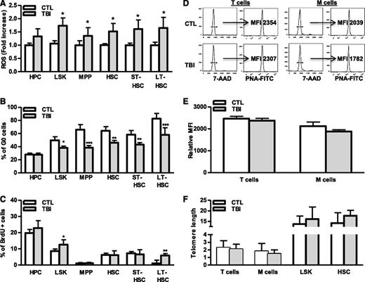 Figure 5. TBI causes persistent increases in ROS production and cell cycling in HSCs without induction of telomere shortening. BMCs were harvested from control (CTL) and irradiated (TBI) mice 2 months after 6 Gy TBI as described. (A) Fold increases in ROS production in BM HPCs, LSK cells, MPPs, HSCs, ST-HSCs, and LT-HSCs after TBI are presented as mean ± SD (CTL: n = 4 ; TBI: n = 6). *P < .05, TBI vs CTL. (B-C) Percentages of G0 (B) and BrdU-positive cells (C) in BM HPCs, LSK cells, MPPs, HSCs, ST-HSCs, and LT-HSCs from control (CTL) and irradiated (TBI) mice are presented as mean ± SD (CTL: n = 4 ; TBI: n = 6). *P < .05, **P < .01, and ***P < .001, TBI vs CTL. (D) Representative flow plots for telomere length measurement in T cells and myeloid cells (M cells) by flow FISH. (E) The relative telomere lengths of these cells from 3 independent experiments using sorted T and M cells pooled from 3 to 4 TBI or control (CTL) mice per group are presented as mean ± SD of relative MFI of telomere fluorescent staining. (F) Relative telomere lengths of HSCs, LSK cells, T cells, and myeloid cells (M cells) from control (CTL) and irradiated (TBI) mice analyzed by qPCR-based telomere length assays. Data from 3 independent experiments using sorted HSC, LSK cells, T cells, and M cells pooled from 3 to 4 mice per group are presented as mean ± SD of the ratios of telomere vs the 36B4 single-copy gene.