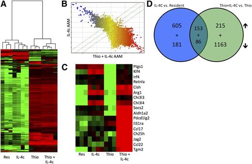 Figure 2. Gene expression profiling of monocyte-derived and tissue macrophage-derived AAMs. (A) Unsupervised hierarchical clustering of transcriptional profiles, displayed as a heat map of log-transformed expression values, from FACS-purified (CD11b+F4/80+) macrophages of mice untreated (Res) or treated with IL-4c alone (IL-4c) or thioglycollate alone (Thio) or Thio and IL-4c (Thio+IL-4c). (B) Comparison of probe expression for AAMs induced by IL-4c alone or Thio+IL-4c, indicating that most genes are differentially expressed. (C) Heat map of log-transformed expression values for a subset of genes associated with AAMs. (D) Venn diagrams showing the overlap of genes up-regulated and down-regulated by IL-4 in monocyte-derived (Thio+IL-4c vs Thio) compared with tissue-derived AAMs (IL-4c vs resident). List of genes are shown in Tables 1 to 8.