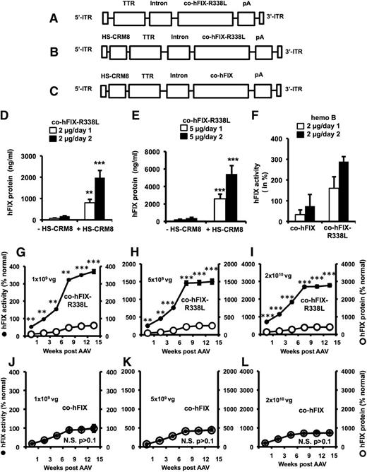 Figure 2. Vector design and functional validation.Schematic representation of pAAV-TTR-co-hFIX-R338L (A), pAAV-HS-CRM8-TTR-co-hFIX-R338L (B) and pAAV-HS-CRM8-TTR-co-hFIX (C) plasmids used in this study. The liver-specific minimal transthyretin (TTR) promoter drives the codon-optimized human FIX (co-hFIX) complementary DNA (cDNA) with or without the Padua R338L mutation (co-hFIX-R338L). The HS-CRM8 is located upstream of the TTR promoter. The minute virus of mouse (MVM) mini-intron and bovine growth hormone polyadenylation site (pA) are also indicated. The expression cassettes were cloned in an scAAV backbone, flanked by the 5′ and 3′ AAV inverted terminal repeats (ITRs), as indicated, and were used to generate the cognate scAAV9-HS-CRM8-TTR-co-hFIX-R338L and scAAV9-HS-CRM8-TTR-co-hFIX vectors. The effect of the HSCRM8 element was assessed by hydrodynamic transfection of the pAAV-HS-CRM8-TTR-co-hFIX-R338L (indicated as +HS-CRM8) (B) and control pAAV-TTR-cohFIX-R338L (indicated as –HS-CRM8) (A) plasmids in C57BL/6 mice at doses of 2 µg/mouse and 5 µg/mouse (D-E). FIX expression was measured by using a validated hFIX-specific enzyme-linked immunosorbent assay (ELISA) (n = 4) on plasma samples collected at day 1 or 2 posttransfection. Similarly, to assess the impact of the Padua R338L mutation, hemophilic mice were hydrodynamically transfected with pAAV-HS-CRM8-TTR-cohFIX-R338L (indicated as co-hFIX-R338L) compared with the pAAV-HS-CRM8-TTR-co-hFIX control (indicated as co-hFIX) (F). The clotting factor activity was measured by using a functional chromogenic FIX assay. Subsequently, we injected the cognate scAAV9-HS-CRM8-TTR-co-hFIX-R338L (designated as co-hFIX-R338L) (G-I) and scAAV9-HS-CRM8-TTR-co-hFIX (designated as co-hFIX) (J-L) in FIX-deficient hemophilic mice at a dose of 1 × 109 vg/mouse (5 × 1010 vg/kg), 5 × 109 vg/mouse (2.5 × 1011 vg/kg), and 2 × 1010 vg per mouse (1012 vg/kg) (n = 3 per group) (G-L). FIX activity and antigen levels were determined at the indicated times after AAV administration by using a chromogenic FIX activity assay and hFIX-specific ELISA, respectively. Results are presented as mean ± standard error of the mean. *P < .05; **P < .01; ***P < .001 (Student t test); N.S., not significant (P > .1).