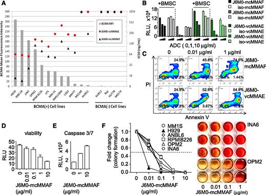 Figure 2. J6M0-mcMMAF selectively inhibits MM cell viability and colony formation via caspase 3/7-dependent apoptosis. (A) J6M0 ADCs (-mcMMAF or -vcMMAE) were added in the culture for 6 days followed by luminescence-based viability assays. Gray bars represent the normalized mean fluorescence intensity of BCMA expression in each cell line. Black triangles and red circles represent the growth inhibitory IC50 for J6M0-mcMMAF and J6M0-vcMMAE, respectively, calculated from triplicate measurements. (B) ANBL6 cells were treated for 3 days with J6M0-mcMMAF/J6M0-vcMMAE, or iso-mcMMAF/iso-vcMMAE (isotype control ADCs), in the presence of absence of BMSCs. (C) CD138+ patient MM cells were incubated for 3 days with indicated ADCs followed by annexin V/PI staining and flow cytometry analysis. CD138+ cells from additional MM patients were treated with J6M0-mcMMAF for 3 days, followed by viability (D) and caspase 3/7 activity (E) assays. (F) J6M0-mcMMAF was added to MM cell culture in methylcellulose for 21 days to determine effects on colony formation. Representative colony formation of INA6 and OPM2 cells are shown on the right.