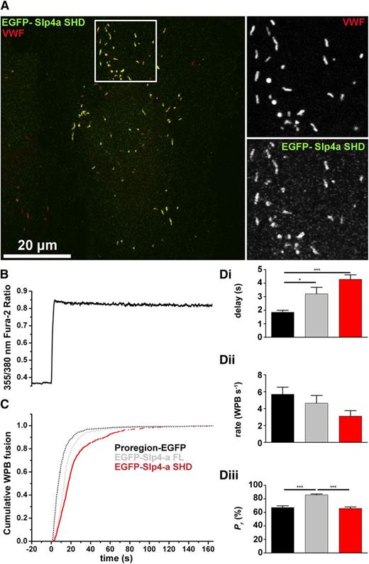Figure 2. Slp4-a enhances WPB probability of release through a region distal to the SHD domain. (A) HUVEC expressing EGFP-Slp4-a-SHD (green) and immunolabeled for VWF (red). Grayscale images are from the region indicated by the white box. Bar represents 20 μm. (B) Fura-2 fluorescence ratio showing a representative record of the increase in fluorescence ratio (intracellular Ca2+) upon addition of 1 μM ionomycin. (C) Cumulative plot of WPB fusion times, normalized by their total number, in Proregion-EGFP– (black), EGFP-Slp4-a FL– (gray), and EGFP-Slp4-a-SHD–expressing cells (red). (Di-iii) Mean delays (seconds), maximal rates of exocytosis (WPBs/second), and probabilities of WPB exocytosis, Pr, (%) for Proregion-EGFP– (black), EGFP-Slp4-a FL– (gray), and EGFP-Slp4-a-SHD–expressing cells (red). Mean % degranulation WPB Proregion-EGFP = 65.8 ± 1.5% n = 46 cells, 2151 fusion events; mean % degranulation WPB EGFP-Slp4-a FL = 85.8 ± 2.6%, n = 15 cells, 849 fusion events; mean % degranulation WPB EGFP-Slp4-a-SHD = 65.8 ± 2.2%, n = 22 cells, 694 fusion events. *P < .05, ***P < .005
