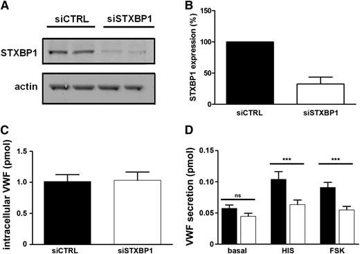 Figure 5. Impaired Ca2+- and cAMP-mediated VWF secretion after STXBP1 depletion. (A) HUVECs were nucleofected with siRNA oligos directed against STXBP1 (siSTXBP1) or with nonhybridizing control oligos (siCTRL) and were assayed 48 hours after nucleofection. Lysates were separated by SDS-PAGE and were probed with rabbit anti-STXBP1 or mouse anti-actin antibodies followed by incubation with IR dye–labeled donkey anti-rabbit or anti-mouse IgG. (B) Quantification of STXBP1 expression in control cells (black) or after STXBP1 depletion (white) (n = 3). (C) Endothelial cells were lysed in SF medium containing 1% Triton X-100 and were assayed for VWF content by ELISA (n = 3). (D) Endothelial cells were incubated for 30 minutes with SF medium (basal), SF medium supplemented with 10 μM forskolin, and 100 μM IBMX (FSK) or with 100 μM histamine (HIS). Supernatants were assayed for secreted VWF by ELISA. ***P < .005 (n = 3).