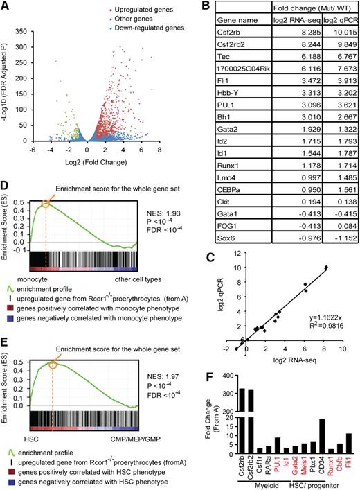 Figure 5. Knockout of Rcor1 results in the upregulation of myeloid genes. (A) Volcano plot from RNA-Seq showing all expressed genes. The y-axis shows statistical significance. A false discovery rate (FDR) –adjusted P value of .05 is 1.3 on this scale. The x-axis shows the magnitude of change (mutant/control). Red dots, all upregulated genes with fold change ≥2 (P < .05) and an adjusted tag number of >50 (average mutant reads minus average control reads; for details, see “Materials and methods”). Green dots, all downregulated genes with fold change ≤2 (P < .05) and an adjusted tag number of >50 (average control reads minus average mutant reads). Blue dots, all other genes. (B) Confirmation of representative RNA-Seq results by qPCR. (C) Correlation between qPCR and RNA-Seq data based on data points from (B). (D) GSEA showing that genes that are upregulated in mutant Rcor1−/− cells correlate positively with genes that are enriched in monocytes. Heat map: genes are ranked according to their relative expression levels in monocytes to “other” hematopoietic cell types (LT-HSC, NK cells, monocytes, granulocytes, erythrocytes, naive CD4 cells, naive CD8 cells, active CD4 cells, active CD8 cells, B cells). Red, highly enriched in monocytes. Black vertical lines represent single genes from the upregulated Rcor1−/− gene set, which are positioned with respect to the ranked list of the reference cell type expression data set. The green line is the running sum for calculating the enrichment score (ES). Positive and negative ES indicate enrichment at the top and bottom of the ranked reference list, respectively. ES is normalized (NES) on the basis of differences in gene set size and correlations between gene sets and is used to compare GSEA results across experiments. (E) GSEA showing that genes upregulated in Rcor1−/− cells are correlated positively with genes that are highly expressed in HSCs. Heat map: genes are ranked according to their relative expression levels in HSCs relative to CMPs, GMPs, and MEPs.21 Colors and NES as described in (D). (F) Examples of de-repressed genes from Rcor1−/− cells. Red colored genes have been reported to block erythropoiesis when de-repressed in RBC progenitors.