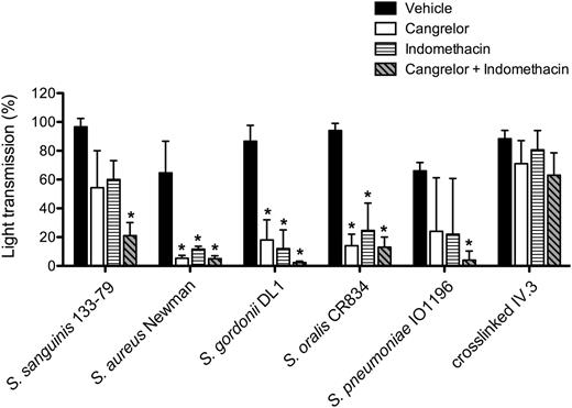 Figure 4. Secondary mediators TxA2 and ADP are key for bacteria-induced platelet aggregation. PRP was incubated for 2 minutes with COX inhibitor indomethacin (10 μM), ADP-receptor P2Y12 inhibitor cangrelor (1 μM), or vehicle (DMSO) prior to addition of bacteria or cross-linked mAb IV.3, and platelet aggregation was monitored. Results are shown as mean ± SD of 3 independent experiments; *P < .05 (see also supplemental Figure 3). DMSO, dimethylsulfoxide.