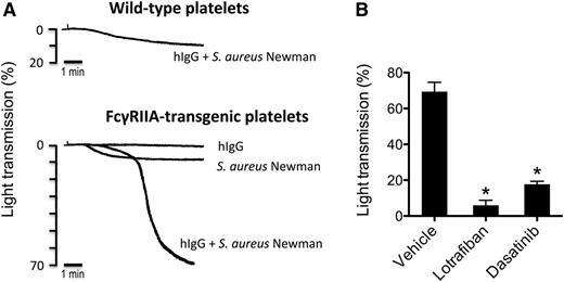 Figure 6. S aureus Newman induces aggregation of FcγRIIA-transgenic mouse platelets. (A) Comparison of FcγRIIA-transgenic vs wild-type mouse platelets in response to S aureus Newman. Aggregation reactions were performed in mouse PRP. Platelets were stimulated with S aureus Newman plus hIgGs (0.5 mg/mL), with S aureus Newman alone or with hIgG alone. One representative experiment of 3 is shown. (B) Effect of αIIbβ3 inhibitor lotrafiban and Src inhibitor dasatinib on S aureus Newman-induced aggregation of FcγRIIA-transgenic platelets. Aggregation reactions were performed as in panel A in the presence of 0.5 mg/mL hIgG after platelet preincubation with lotrafiban (10 μM), dasatinib (20 μM), or vehicle (DMSO). Results are shown as mean ± SD of 3 independent experiments; *P < .05.