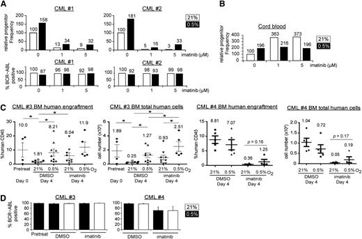 Figure 3. Hypoxia increases clonogenicity and engraftment of CML stem cells. The relative frequencies of primitive CML (A) or cord blood progenitors (B) were determined by LTC-IC limiting dilution assays for 2 independent samples. Cells were treated under 21% or 0.5% O2 for 96 hours and were harvested for long-term, drug-free culture. The progenitor frequency was calculated on the basis of colony formation and was scaled against 100% for the 0 µM imatinib group incubated at 21% O2. The cord blood results (B) show the average of 2 samples with similar trends (n = 2). For the CML samples, colonies from each treatment condition were pooled, and the percentage of BCR-ABL1-positive cells was determined by FISH, with percentages indicated on the top of each column. (C) BM engraftment of CD34+ CML cells in NSG mice. CD34+ CML cells (2 × 106 cells/mouse) from 2 CP CML patients (CML#3 and CML#4) were treated with 21% or 0.5% O2 and DMSO or imatinib for 96 hours and were injected into sublethally irradiated mice. The percentage and the total number of engrafted human CD45+ cells in the BM of recipient mice are shown in the left and right panels for each patient sample, respectively. Open symbols (CML#3) and filled symbols (both CML#3 and CML#4) represent experiments using 5 μM or 1 μM imatinib, respectively. Data were available for only 3 groups with open symbols (untreated at 21% O2, untreated at 0.5% O2, and imatinib-treated at 21% O2). Each point represents data from a single mouse. Horizontal bars indicate mean with numbers shown for each condition, and error bars indicate standard error of the mean. (D) The average percentage of BCR-ABL1 positive cells in each group of mice was determined by FISH. *P < .05.