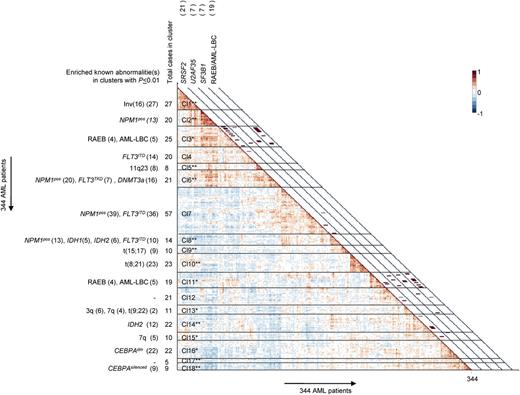 Figure 1. Hierarchical clustering of genetic and epigenetic features segregates AML patients into 18 clusters. Heat map representing pairwise correlations between the RAEB/AML patients using the gene expression and DNA-methylation profiles of each patient. Ordering of patient samples is based on hierarchical clustering using Pearson correlation and Ward’s linkage, which results in clusters of patients that are highly correlated to each other. Colored cells in the heat map depict a higher positive (red) or lower negative (blue) correlation, as indicated by the scale bar. Bars in the first 3 rows along the diagonal of the heat map indicate presence of the SF gene hotspot mutations. The last row indicates whether a patient is labeled as RAEB or AML-LBC. AML-LBCs are AML patients with blast counts between 20% and 30%. Detailed information of each patient in the clusters is shown in supplemental Table 4.
