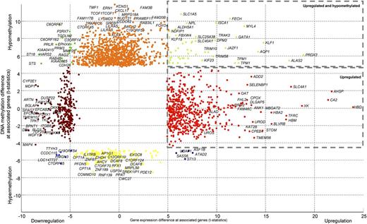 Figure 3. Specific DNA-methylation and gene expression patterns for patient samples from cluster 11. Differential expressed and DNA-methylation genes in patient samples from cluster 11 compared with all other AMLs are indicated with different colored dots. The colors depict the gene expression and DNA-methylation status, ie, the right upper corner represents genes that are hypomethylated and overexpressed (green dots). Many of these genes encode for proteins involved in erythroid development or function (detailed results are depicted in supplemental Table 7).