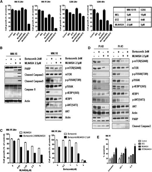 Figure 5. Bortezomib increases MLN4924-induced cell cytotoxicity. (A) MM.1S, MM.1R, and U266 were treated with MLN4924 (2.5 or 5 µM) separately or concurrently with MEL (5 or 10 µM) or BTZ (2 or 4 nM). MTT assay was used to evaluate growth inhibition. (B) MM.1R cells or primary human MM cells (D) were treated with 2 nM bortezomib, 2.5 µM MLN4924, or the combination for 24 hours with increased inhibition of the PI3K/mTOR pathway and increased PARP and caspase cleavage. (C) MM.1R cells were treated with serial concentrations of MLN4924 and BTZ. MTT assays were performed to assess the growth inhibition effects. Combination index values are shown in Table 1 using the Calcusyn software program. (E) MM.1R cells were treated for 24 hours with 2 nM bortezomib, 2.5 µM MLN4924 alone or in combination in the presence or absence of IGF-1 (25 ng/mL) or IL-6 (10 ng/mL). Cell death was assessed using annexin V/PI staining. BTZ, bortezomib; MEL, melphalan.