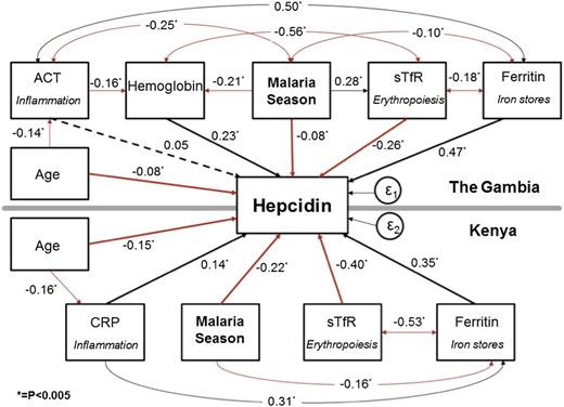Figure 3. SEM of variables associated with hepcidin. A single SEM was created, grouped by site. The sizes of the associations are indicated by the standardized regression coefficients. *P < .005. A positive association is indicated by a black line, an inverse association by a red line, and a nonsignificant association by a dotted line. In Gambian children, age was additionally associated with log-ferritin levels (β 0.24; P < .0005), log-sTfR (β −0.17; P < .0005), and Hb levels (β 0.25; P < .0005); data not shown for simplicity. The R2 was 0.49 for the Gambian group and 0.58 for the Kenyan group. The standard error (ε) was 0.02 for the Gambian group and 0.02 for the Kenyan group. The overall CFI was 1.0, and the RMSEA was <0.005 indicating a good fit.