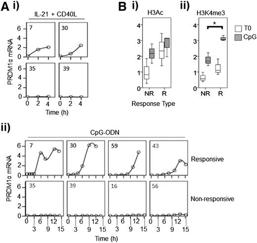 Figure 7. Persistence of PRDM1 α transcriptional repression in nonresponsive CLL samples is a result of failure to induce high levels of activating histone modifications. (A) Responsive and nonresponsive CLL samples were treated with: (i) IL-21 + CD40L, or (ii) CpG-ODN and PRDM1α RNA was quantified using quantitative polymerase chain reaction at times up to 4 and 15 hours, respectively. Case numbers are shown in the top left-hand corner of each graph. (B) ChIP experiments showing: (i) H3K9Ac/K14Ac (H3Ac), or (ii) H3K4me3 at the PRDM1 TSS before and after treatment of responsive (R; n = 3) and nonresponsive (NR; n = 3) samples with CpG-ODN. *P = .009.