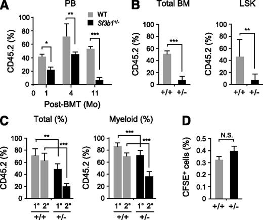 Figure 3. Sf3b1 haploinsufficiency causes impaired competitive repopulating capacity of HSCs. (A) Contribution of donor cells to PB hematopoiesis. WT and Sf3b1+/− BM cells (2 × 106 cells, CD45.2+) together with an equal number of CD45.1+ competitor BM cells were transplanted into lethally irradiated recipient (CD45.1+) mice. Chimerism of donor-derived CD45.2+ cells in the PB is shown as mean ± SD (n = 5). (B) Chimerism of donor-derived CD45.2+ cells in total BM cells and LSK cells at 11 months posttransplantation shown as mean ± SD (n = 5). (C) Serial transplantation assays. WT and Sf3b1+/− BM cells (2 × 106 cells, CD45.2+) together with an equal number of CD45.1+ competitor BM cells were transplanted into lethally irradiated recipient (CD45.1+) mice. At 4 months posttransplantation, 2 × 106 whole BM cells from the primary recipient mice were transplanted into the secondary recipient mice. Chimerism of donor-derived CD45.2+ cells was detected in total MNCs and myeloid cells in the PB at 4 months postprimary (1°) and -secondary (2°) transplantation and is shown as mean ± SD (n = 9). (D) Homing assays. CFSE-labeled WT and Sf3b1+/− BM MNCs (106 cells) were transplanted into lethally irradiated mice. Frequencies of CFSE+ cells detected in BM at 8 hours posttransplantation are shown as mean ± SD (n = 5). *P < .05; **P < .01; ***P < .001. N.S., not significant.