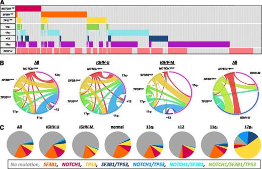 Figure 1. Incidence and distribution of gene mutations, genomic aberrations, and IGHV status for the patients with all markers available (n = 573). Mutations in TP53, NOTCH1, and SF3B1 are denoted and color coded as NOTCH1mut, SF3B1mut, and TP53mut, respectively; genomic aberrations as 17p deletion (17p−), 11q deletion (11q−), trisomy 12 (+12), and 13q deletion (13q−); and IGHV unmutated as IGHV-U and IGHV mutated as IGHV-M. (A) Cluster diagram of patients (columns) and genetic parameters (rows). Distribution of marker positivity is ordered by rows. White boxes indicate patients without gene mutation, without aberrations (“normal FISH” group), or with mutated IGHV. (B) Circos diagrams of the pairwise cooccurrence of genomic aberrations with mutations for all patients (left), for IGHV subgroups (middle 2 panels), and of the pairwise cooccurrence of IGHV status with mutations (right). The length of the arc corresponds to the frequency of the marker alone plus its pairwise occurrence, whereas the width of the ribbon corresponds to the proportion of cooccurrence with the second marker. (C) Pie charts illustrating the occurrence and cooccurrence of mutations in all patients (left) and in subgroups defined by IGHV status and genomic aberrations (other panels). Mutations in TP53, NOTCH1, SF3B1, and combinations of mutations are indicated by the color code given at the bottom. The patterns of pairwise cooccurrence of gene mutations and genomic aberrations were similar in both IGHV subgroups, whereas the frequencies of mutations were different in subgroups defined by IGHV status and genomic aberrations (B-C).