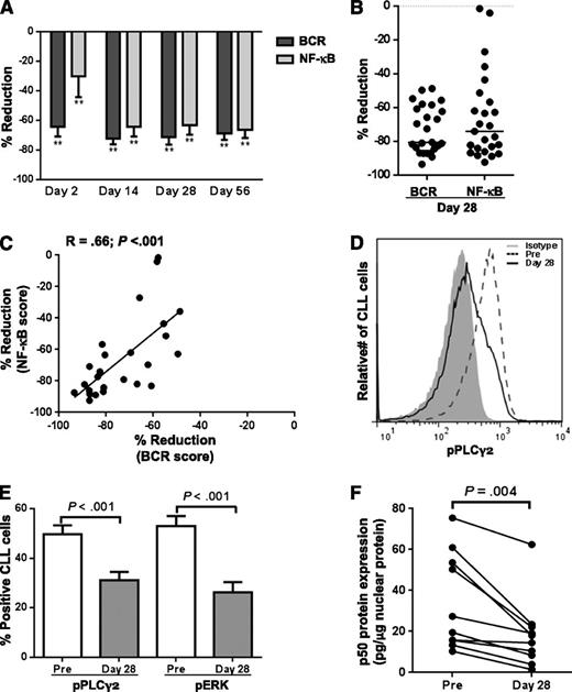 Figure 1. Ibrutinib induces rapid and sustained inhibition of BCR and NF-κB signaling in vivo in circulating CLL cells. (A-C) Change in BCR and NF-κB signature scores (identified in reference 1 and described in Materials and methods) in purified CLL cells on treatment. (A) Mean (± SEM) percent reduction in signature scores (n = 8 patients, in whom all time points were available). Comparisons by paired Student t test: *P < .05, **P < .01, and ***P < .001. (B) Percent reduction on day 28 compared with pretreatment. Each dot represents a different patient (n = 25). The line represents the median. (C) Correlation of reduction in BCR and NF-κB signature scores. Each dot represents one patient. R and P values of Pearson correlation are displayed (n = 25). (D-E) PBMCs were fixed, permeabilized, and stained with the indicated antibody. Results shown are for the CLL population (CD5+/CD19+). (D) A representative histogram of pPLCγ2 staining. Isotype control is represented by the gray shaded area, the dashed line represents pretreatment, and the solid black line day 28. (E) The mean (± SEM) percent of pPLCγ2 and pERK expressing CLL cells pretreatment (Pre) and on day 28 of ibrutinib treatment is shown (n = 30). (F) Quantification of nuclear p50 was done on nuclear lysates from CLL cells pretreatment (Pre) and on day 28 of ibrutinib treatment (n = 10).
