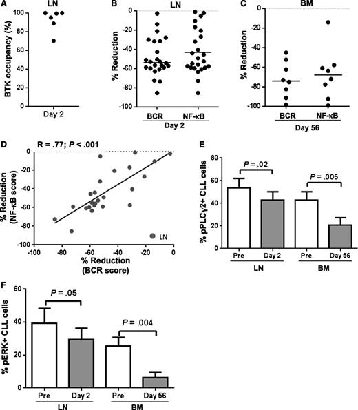 Figure 2. Ibrutinib has a strong on-target effect in tissue-resident CLL cells. (A) BTK occupancy in lymph node (LN) biopsies on day 2 compared with pretreatment as determined by probe assay. Each dot represents a different patient (n = 6). (B-C) Percent reduction in BCR and NF-κB signature scores in either (B) LN biopsies (n = 24) or (C) CLL cells purified from bone marrow (BM) aspirates (n = 8). The line represents the median. (D) Correlation of reduction in BCR and NF-κB signature scores in LN biopsies (n = 24). (E-F) Mononuclear cells from LN biopsies (n = 8) or BM aspirates (n = 10) were fixed, permeabilized, and stained with the indicated antibody. Results shown are for the CLL population (CD5+/CD19+). The mean (± SEM) percent of (E) pPLCγ2 and (F) pERK expressing CLL cells pretreatment (Pre) and on ibrutinib is shown.