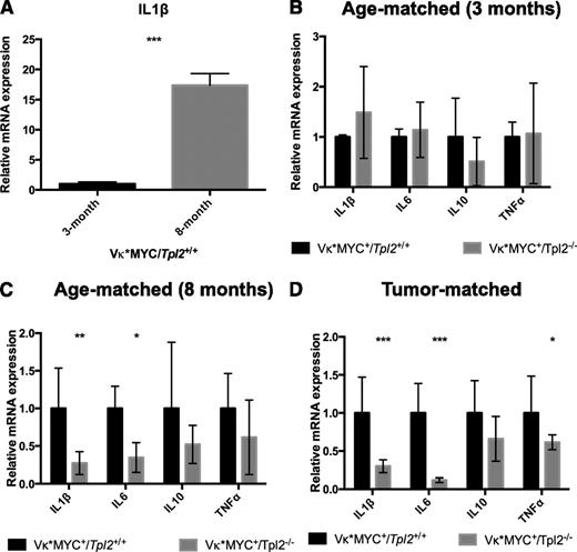 Figure 5. Tpl2−/− monocytes/macrophages display defective inflammatory switch in the myeloma microenvironment. BM aspirates from Vκ*MYC/Tpl2+/+ or Vκ*MYC/Tpl2−/− animals were collected, and monocytic-lineage cells were isolated by CD115+ immunomagnetic separation. Complementary DNA subjected to quantitative RT-PCR using primers recognizing various cytokines as indicated. (A) CD115+ cells from 3-month-old Vκ*MYC mice (0 incidence of M-spikes) do not transcribe appreciable amounts of IL-1β message. By 8 months, most Vκ*MYC mice have developed M-spikes. CD115+ cells at 8 months transcribe high levels of IL-1β message, demonstrating an inflammatory switch equivalent to the induction of inflammatory mediators reported by our group in human MAM.24 (B) At 3 months of age, Vκ*MYC mice lack monoclonal gammopathy (0 incidence of M-spikes, see Figure 4A). IL-1β message is transcribed at the same low rates regardless of Tpl2 status. (C) By 8 months of age, CD115+ from Vκ*MYC/Tpl2+/+ mice have undergone inflammatory switch, characterized by increased IL-1β production. However, CD115+ cells from Vκ*MYC/Tpl2−/− mice display severe defects in IL-1β and IL-6 production. (D) The defect in inflammatory cytokine production by Tpl2−/− MAM persists even in overt tumor (tumor-matched mice bearing equivalent M-spikes). P values: *<.05, **<.01, ***<.001. mRNA, messenger RNA.