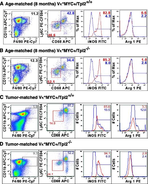 Figure 6. Tumor stage-specific macrophage repolarization in the myeloma niche in the absence of Tpl2. Macrophage polarization was assessed using flow cytometric analysis of C11b+/F4/80+ macrophages from BMs of age-matched (8-month old) and “tumor matched” wild-type (Vκ*MYC/Tpl2+/+) and Vκ*MYC/Tpl2−/− animals. Representative results from 3 animals in each group are shown. The C11b+/F4/80+ gate is shown to the left. The dot plots represent the frequency of the M1-like fraction (CD68int/Ly6Cint) and M2-like fraction (CD68hi/Ly6Chi) in the total C11b+/F4/80+ gate in each genotype. M1 polarization has been shown to result in downregulation of CD68 in macrophages.76 On the right panels, histograms depict the relative frequency of iNOS+ and Arginase-1+ cells in each subpopulation, depicted in RED (M1-like) and BLUE (M2-like). APC, allophycocyanin; FITC, fluorescein isothiocyanate; PE, phycoerythrin.