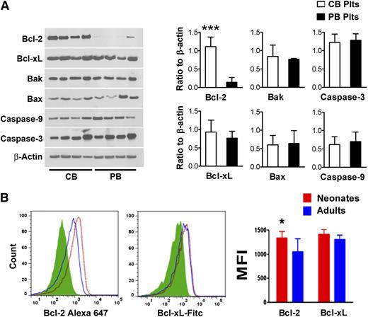 Figure 6. Bcl-2 family proteins in neonatal vs adult platelets. (A) Apoptosis-related proteins were quantified in freshly isolated purified human neonatal and adult platelets by western blot assay. The expression levels of Bcl-2, Bcl-xL, Bak, Bax, Caspase-9, and Caspase-3 are shown in representative western blots from 4 independent CB and 4 independent PB samples. The bars represent the mean ± SD concentrations of these proteins in 8 independent CB (open bars) and 8 PB samples (filled bars), expressed as the ratio to β actin. ***P < .001. (B) Expression levels of Bcl-2 and Bcl-xL were evaluated in neonatal and adult mouse platelets by flow cytometry. Representative histograms show Bcl-2 and Bcl-xL mean fluorescent intensity (MFI) levels in murine neonatal vs adult platelets. The bars represent the mean ± SD MFI measurements from neonatal (n = 11) and adult (n = 8) murine platelets. *P < .05.