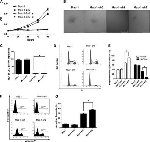 Figure 2. SATB1 suppression in PCALCL cells induced cell-cycle arrest at the G0/G1 stage. (A) MTS-based cell viability assay demonstrated a lack of increase in viable cells in 2 SATB1-silenced lines, whereas control Mac-1 cells demonstrated a normal growth curve. (B) The size of colonies formed in the CFC assay was decreased in SATB1-suppressed Mac-1 cells compared with control cells. (C) The number of colonies formed in semisolid culture (CFC output) decreased more than 10-fold upon SATB1 suppression. (D-E) Accumulation of the G0/G1 population and decrease of the S and G2/M populations were observed in Mac-1 cells with SATB1 silencing via PI cell-cycle analysis. (F-G) Long-term culture of the transduced cells revealed an increase in the Annexin V+ population in SATB1-silenced cells, which indicates increased cell apoptosis. Mac-1-sh1 to Mac-1-sh2, SATB1-silenced Mac-1 cell lines with 2 independent hairpins against SATB1. Mac-1 cells transduced with scrambled shRNA (Mac-1-sh0) and parental cells served as controls. *P < .05. Each experiment was repeated 2 times with 3 biological replicates.