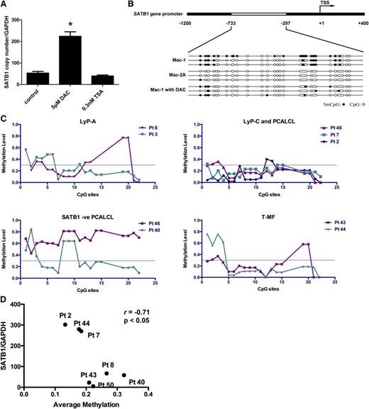 Figure 6. SATB1 expression levels in different disease stages of PCALCL are associated with the methylation status on the SATB1 promoter. (A) SATB1 mRNA expression in Mac-1 cells treated with a DNA demethylation reagent DAC was significantly upregulated, compared with cells treated with a histone deacetylase inhibitor TSA or the control DMSO solvent. *P < .05. Each experiment was repeated 2 times with 3 biological replicates.) (B) Schematic description of the SATB1 promoter and the sequencing results after bisulfite conversion. Mac-2A cells showed specific demethylation in the −733 to −297 region in the SATB1 promoter, compared with Mac-1 cells. DAC treatment in Mac-1 cells resulted in demethylation in this region, corresponding to upregulation of SATB1. Three independent PCR product clones were demonstrated for each cell. Solid dot, methylated CpG dinucleotide; circle, unmethylated CpG dinucleotide. (C) Quantitative methylation analysis on each CpG site in clinical samples with different stages of diseases. Methylation level 1 represents 100% methylated CpG dinucleotides on this site. Dotted line, 0.4. (D) Correlation between SATB1 mRNA expression and the average methylation level on all CpG sites. Pt, Patient no.