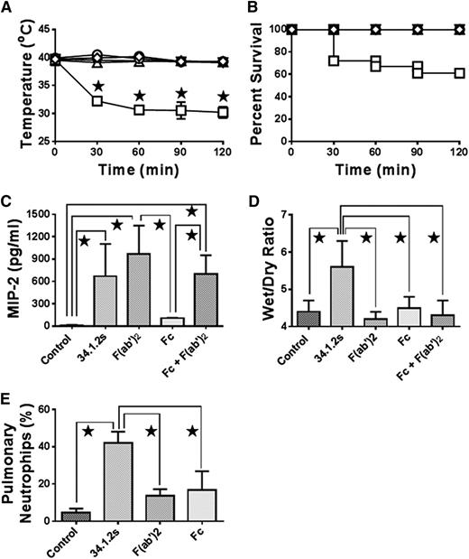 Figure 1. F(ab′)2 fragments of 34.1.2s induce MIP-2 production and neutrophil accumulation, but not hypothermia, edema, or mortality in SCID mice. Time course of (A) rectal temperatures and (B) survival of SCID mice either not injected (○) or injected with 50 µg 34.1.2s (□), 75 µg F(ab′)2 fragments (♢), or 75 µg Fc fragments (△). Two hours after injection of the indicated proteins, the mice were euthanized, (C) serum MIP-2 levels were measured, (D) wet:dry lung weight measurements were made, and (E) the percentage of pulmonary neutrophils was measured. Data are expressed as means ± SD of the indicated parameters (y-axes) in A and C-E and as means in B (n = 6 to 21 mice in each group). The ★ indicates significance (P < .05) between mouse groups and was determined by using one-way ANOVA. All other comparisons were not significant except for control vs Fc (C, P < .05) and control vs F(ab′)2 and Fc (E, P < .05).