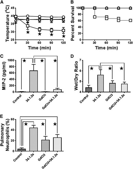 Figure 2. Monocyte depletion with GdCl3 treatment abrogates TRALI in SCID mice. Time course of (A) rectal temperatures and (B) survival of SCID mice either not injected (control, ○) or injected with 50 µg 34.1.2s (□), 90 mg/kg GdCl3 (△), or 90 mg/kg GdCl3 plus 50 µg 34.1.2s (▿). Two hours after injection of the indicated proteins, the mice were euthanized, (C) serum MIP-2 levels were measured, (D) wet:dry lung weight measurements were made, and (E) the percentage of pulmonary neutrophils was measured. Data are expressed as means ± standard deviation (SD) of the indicated parameters (y-axes) in A and C-E and as means in B (n = 6 to 11 mice in each group). The ★ indicates significance (P < .05) between mouse groups and was determined by using one-way analysis of variance (ANOVA). All other comparisons were not significant except for control vs GdCl3 + 34.1.2s (C, P < .05), and control vs GdCl3 and GdCl3 + 34.1.2s (E, P < .05).