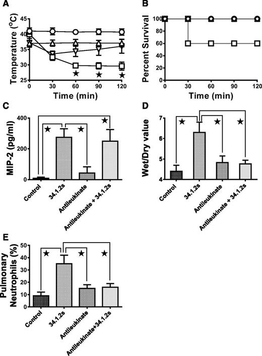 Figure 3. Intraperitoneal administration of antileukinate abrogates TRALI in SCID mice. (A) Rectal temperatures and (B) survival time courses of SCID mice either not injected (control, ○) or injected with 50 µg 34.1.2s (□), 1 mg antileukinate (△), or 1 mg antileukinate + 50 µg 34.1.2s (▿). Two hours after injection of the indicated proteins, the mice were euthanized, (C) serum MIP-2 levels were measured, (D) wet:dry lung weight measurements were made, and (E) the percentage of pulmonary neutrophils was measured. Data are expressed as means ± SD of the indicated parameters (y-axes) in A and C-E and as means in panel B (n = 6 to 11 mice in each group). The ★ indicates significance (P < .05) between mouse groups and was determined by using one-way ANOVA. All other comparisons were not significant except for control vs antileukinate and antileukinate + 34.1.2s (E, P < .05).