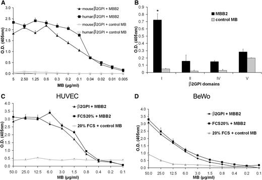 Figure 1. Analysis of MBB2 binding to purified β2GPI. (A) Human or mouse β2GPI (10 μg/mL) immobilized on γ-irradiated polystyrene plates was incubated with different concentrations of MBB2 or control minibody (MB) for 90 minutes at room temperature, and the bound scFv-Fc was measured by ELISA. (B) Binding of MBB2 to human β2GPI domains (10 μg/mL). (C-D) Binding of MBB2 or control MB to HUVECs or BeWo cells grown to confluence in 96-well tissue culture plates. The cells were incubated with β2GPI (5 μg/mL) or 20% FCS prior to exposure to the scFv-Fc, and the bound antibodies were measured using ELISA. The data were analyzed with the Mann-Whitney test. The results are expressed as mean ± SD of 3 different experiments performed in triplicate. *P < .05 vs control MB.