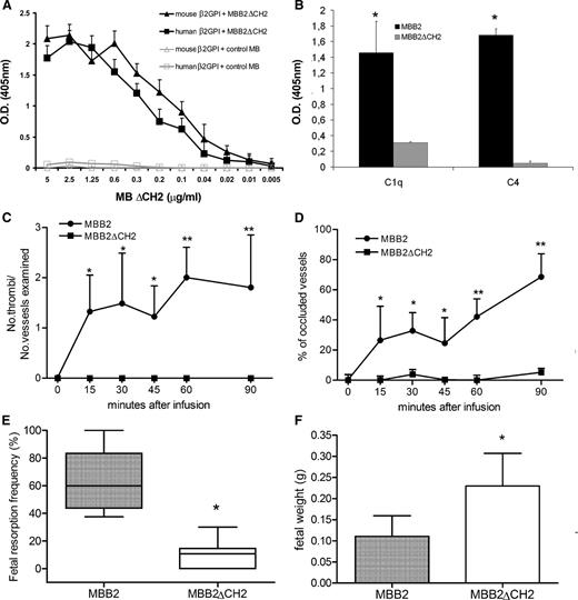 Figure 5. Binding and in vivo effect of MBB2ΔCH2. (A) Human or mouse β2GPI (10 μg/mL) immobilized on γ-irradiated polystyrene plates were incubated with different concentrations of either MBB2ΔCH2 or control MB, and the bound scFv-Fc was measured using ELISA. (B) Deposition of C1q and C4 to bound MBB2ΔCH2 and MBB2 was evaluated as indicated in the legend to Figure 3. (C) Thrombus formation and (D) vessel occlusion monitored by intravital microscopy at different time intervals in LPS-primed normal rats receiving either MBB2ΔCH2 or MBB2. Percentages of (E) fetal loss and (F) fetal weight in pregnant mice treated with either MBB2ΔCH2 or MBB2. The procoagulant and proabortive effects of MBB2 and MBB2ΔCH2 were evaluated and analyzed as reported in Figure 2. The data of vessels occlusion and fetal weight are expressed as mean ± SD; percentages of fetal loss are expressed as median ± interquartile range presented as box plots. *P < .05, **P < .01.