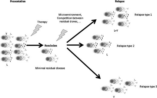 Figure 4. Model of Darwinian evolution in MM assessed by the type of paraprotein secreted: 1 clone is able to produce a complete antibody, whereas the other secretes only a FLC. Chemotherapy is differentially active against the different clones, as different as the impact of other evolutionary bottlenecks such as microenvironment or competition for the stem cell niche. The different selective pressures applied will determine which of the clone(s) will survive and give rise to the relapse. The different clonal composition at relapse will ultimately impact on the different sensitivities to subsequent treatments and therefore on survival. L, light chain only secreting plasma cells; Relapse type 1, relapse characterized by both free light chains and intact immunoglobulin secreting plasma cells; Relapse type 2, relapse characterized only by free light chains secreting plasma cells; Relapse type 3, relapse characterized only by intact immunoglobulin secreting plasma cells; Y, intact immunoglobulin secreting plasma cell.