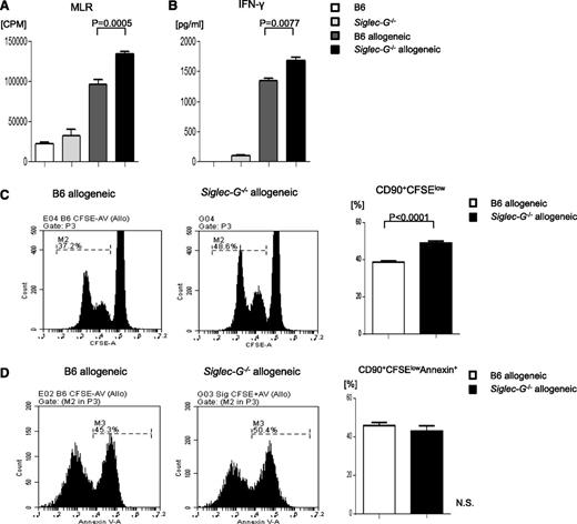 Figure 4. Siglec-G–deficient DCs show enhanced stimulation of allogeneic T cells. BMDCs from WT-B6 and Siglec-G−/− mice were used as stimulators in an MLR with T cells from either BALB/c (allogeneic) or C57BL/6 (syngeneic) mice and analyzed for (A) T-cell proliferation based on 3H-thymidine incorporation at 96 hours. The data are the mean ± SEM of quadruplicate cultures and are representative of 3 independent experiments. (B) Supernatants from the cultures were collected at 80 hours and analyzed for IFN-γ by ELISA. The data are the mean ± SEM of quadruplicate cultures and are from 1 of 3 similar experiments. (C) Representative figures for CFSE, and (D) Annexin-V staining of cells gated on CD90.2+ T cells after the MLR. CFSE-labeled splenic CD90+ T cells from BALB/c mice were cultured for 96 hours with BMDCs from either WT-B6 or Siglec-G−/− mice. The cells were then harvested and analyzed. The right column shows the collective data of 3 independent experiments. N.S., no significant differences between B6 and Siglec-G−/− DCs.