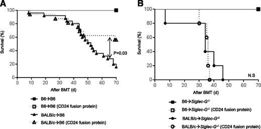 Figure 6. Enhanced Siglec-G interaction with the CD24 fusion protein mitigates GVHD. (A) Survival. WT-B6 mice were lethally irradiated with 13 Gy and infused with 2.5 × 106 CD90+ T cells along with 5 × 106 TCD-BM cells from either syngeneic B6 or allogeneic MHC-mismatched BALB/c donors. The recipients were injected with the CD24 Fc protein on day −1 (5 mg/kg) or diluent control on day −1 before allo-HCT (n = 4 to 25 per group, pooled from 3 experiments). For ▲ vs △, P = .03. The bar shows the mean ± SEM. (B) Siglec-G−/− mice were lethally irradiated with 13 Gy and infused with 2.5 × 106 CD90+ T cells along with 5 × 106 TCD-BM cells from either syngeneic B6 or allogeneic MHC-mismatched BALB/c donors. The recipients were injected with the CD24 Fc protein on day −1 (5 mg/kg) or diluent control on day −1 before allo-HCT (n = 4 to 12 per group, pooled from 2 experiments). The bar shows the mean ± SEM.