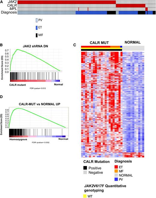Figure 3. CALR-mutant MPN patients are characterized by a gene signature associated with activated JAK2 signaling. (A) Mutational status of JAK2, CALR, and MPL mutational status as well as clinical MPN diagnosis in 290 MPN patients. An individual column represents each patient. (B) GSEA showing enrichment of JAK2 shRNA signature in MPN patients with CALR mutations relative to normal subjects. (C) Heatmap representation of the 433 significantly differentially expressed genes (413 genes upregulated and 20 downregulated; FDR <0.01 and FC >2) in granulocytes from CALR-mutant MPN patients relative to normal subjects (21 MPN patients and 11 normal subjects). A red-blue color scale depicts normalized gene expression levels (red: high; blue: low). (D) GSEA showing significant enrichment of CALR-mutant MPN signature in MPN patients with homozygous JAK2V617F mutations relative to normal subjects.