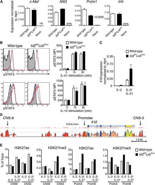 Figure 3. Id2 deficiency does not alter the expression of key IL-10 transcriptional activators or the epigenetic status of the Il10 locus. (A) Quantitative analysis of mRNA expression by real-time PCR within wild-type DbNP366+ (KLRG1−) or Id2fl/flLckCre+ CD8+ T cells from PR8-primed HKx31-infected mice (day 9) and naïve splenic CD44−CD62L+CD8+ T cells. Data show the mean ± SEM of gene expression relative to Hprt from 3 independent samples. (B) In vitro activation of wild-type and Id2fl/flLckCre+ CD8+ T cells (day 2 cultures) with IL-21 (50 ng/mL) or IL-12 (5 ng/mL) prior to intracellular staining for pSTAT3 and pSTAT4. Histograms show representative staining after 15 min (solid blue line) or 30 min (solid red line; unstimulated cells, gray shading). Bar graphs show the mean ± SEM of pSTAT3 or pSTAT4 mean fluorescence intensity (MFI) pooled from 3 independent experiments. (C) Quantitative analysis of Il10 mRNA expression by real-time PCR within in vitro–activated wild-type or Id2fl/flLckCre+ OT-I CD8+ T cells cultured 4 days in presence of IL-2 alone or IL-2 and IL-21. Data show the mean ± SEM of gene expression relative to Hprt from 3 independent samples. (D) CNSs in the Il10 loci of mouse and human are shown. The mouse genomic sequence is used as the base sequence on the x-axis. Red represents intergenic regions with a minimal length of 100 bp and at least 70% of conservation between human and mouse as shown in the ECR Browser. The CNS-9 and CNS-3 regions are indicated. (E) ChIP analysis of the Il10 locus from in vitro–activated wild-type or Id2fl/flLckCre+ OT-I CD8+ T cells cultured as in (C) with antiserum specific for acetylation of histone H3 at Lys27 (H3K27ac) or trimethylation of histone H3 at Lys27 (H3K27me3). Data show 1 of 2 independent experiments with similar results.