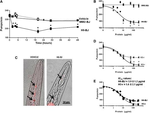 Figure 1. Characterization of the effects of selected LC on the pumping rate. (A) Time-dependent effect of the amyloidogenic cardiotoxic protein (H6-BJ) and the nonamyloidogenic one (MM2-BJ) on the pumping rate of worms. Proteins, in 10 mM PBS (pH 7.4), were administered to worms at 100 µg/mL. Control worms received vehicle alone (Vehicle). Nematodes (100 worms/100 µL) were incubated with LCs for 2 hours in the absence of OP50 E coli and then plated on NGM plates seeded with bacteria. The pharyngeal pumping was scored at different times after plating (2-48 hours). Data are expressed as the mean ± standard error (SE) (n = 20 worms/group). *P < .01 vs vehicle and MM2-BJ, Student t test. (B) Dose-response effect of 1 to 200 µg/mL of H6-BJ and MM2-BJ. Mean ± SE (n = 40 worms/group). *P < .01 vs MM2-BJ, Student t test. (C) Effect of H6-BJ on the feeding behavior. Feeding assay was performed by monitoring the ability of worms to ingest multifluorescent beads. H6-BJ protein (100 µg/mL) in 10 mM PBS (pH 7.4) or vehicle alone (Vehicle) were administered to worms. Representative images, obtained from the overlay of a contrast phase and epifluorescence, indicated the presence of fluorescent beads (black arrows) in the pharynx of control worms, but not in those fed H6-BJ protein. (D) Dose-response effect of 1 to 200 µg/mL of recombinant cardiotoxic (H3-r) or noncardiotoxic (K3-r) proteins. Mean ± SE (n = 30 worms/group). *P < .01 vs K3-r, Student t test. (E) Comparison of the dose-response curves obtained for H3-r and H6-BJ proteins. IC50 values ± standard deviation were reported. The 2 proteins, at 100 µg/mL, similarly inhibited the pumping rate of worms (from 235.0 ± 3.6 pumps/min of vehicle to 177.6 ± 3.2 pumps/min and 170.4 ± 2.8 pumps/min for H6-BJ and H3-r, respectively).