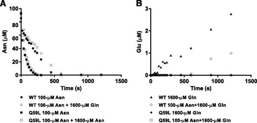 Figure 3. Asparagine and glutamine deamidation kinetics. WT l-ASP or Q59L l-ASP was added to a reaction solution containing 100 µM asparagine, 1600 µM glutamine, or both. Concentrations of asparagine (A) and glutamic acid (B) were measured over a 1500-s time series by LC-MS/MS. Solid symbols represent concentrations in the single substrate reaction, and open symbols represent concentrations in the mixture.
