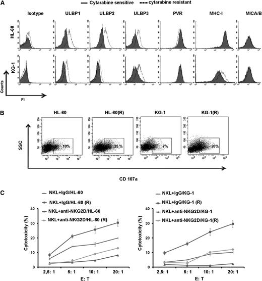 Figure 2. Expression of ligands for NK-cell–activating receptors in leukemic cells. (A) Flow cytometric analysis for the expression of ligands in KG-1 and KG-1(R) cells, and HL-60 and HL-60(R) cells. One representative of at least 3 separate experiments is shown. (B) Flow cytometric analysis of CD107a expression NK cells cocultured for 4 hours with candidate tumor cells at E:T ratio of 2:1 (representative blot of n = 3). (C) Sensitive and resistant leukemia cells incubated with anti-NKG2D mAb or isotype as negative control. The lytic activity of the NKL cells toward these target cells was assessed in a standard 4-hour chromium release assay at different indicated E:T ratios.