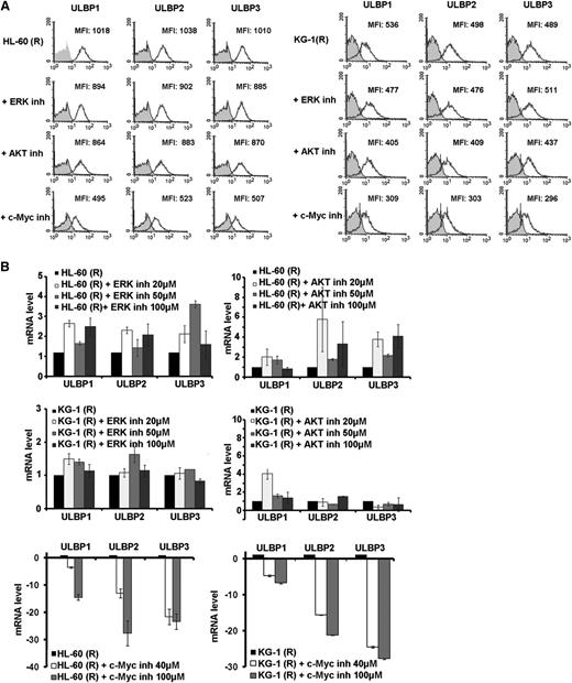 Figure 4. Effect of c-Myc inhibition on NKG2D ligands expression. (A) Flow cytometric analysis for the expression of ULBP1/2/3 for resistant leukemia cells after specific inhibition of c-Myc using 10058-F4, and inhibition of ERK and AKT activation using PD98059 and MK-2206, respectively, after 24 hours of treatment. Data are representative of at least 3 experiments. (B) Real-time quantitative reverse-transcription PCR for the mRNA expression levels of ULBP1/2/3, transcripts in leukemia cells after 24 hours of treatment with c-Myc, ERK, or AKT inhibitor.