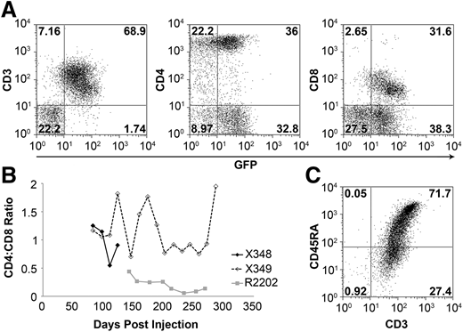 Expression of T-cell markers on GFP cells. (A) The proportion of CD3+ lymphocytes as a function of days postinjection. (B) GFP+ lymphocytes express T-cell markers CD3 (left), CD4 (middle), and CD8 (right). This representative panel of subset marking was taken from dog X349 at 41 weeks posttreatment. (C) The majority of CD3+ cells stain positive for CD45RA, as indicated in this representative panel of dog X349 at 35 weeks after treatment.