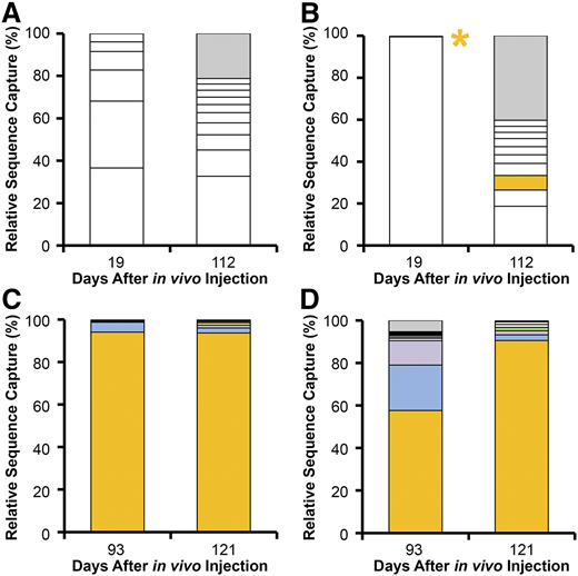 Longitudinal RIS analysis. All unique RISs identified from (A) X348, (B) X349, (C) R2202, and (D) R2203 are plotted based on the number of times the RIS was sequenced (relative sequence capture) and normalized to the percentage of total RISs captured at each time point for each dog. The gray portion of each bar represents the percentage corresponding to all but the top 10 most frequently captured RISs. The 10 most frequently captured RISs in each sample are represented by the white boxed lower portions of each bar graph. RISs identified at both time points in the same animal were shaded in matching colors in the bar representing each time point. The gold asterisk in panel B represents the position of a clone identified 19 days postinjection that was also sequenced at 112 days postinjection but is impossible to visualize due to the small frequency of this RIS at 19 days postinjection.