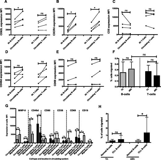 Figure 5. Normal B and T cells showed similar phenotypic changes when compared with CLL cells. PBMCs from 4 normal healthy donors were introduced into the circulating model in the same way as CLL PBMCs. Samples were then taken from the circulating compartment and the EVS at 48 hours and labeled with the same panel of cell surface markers used for the CLL samples. B cells were identified as CD19+ and T cells as CD5+/CD19−. Expression (MFI) of (A) CD62L, (B) CXCR4, (C) CD5, (D) CD49d, and (E) CD69 in circulating B and T cells is shown. (F) Normal B and T cells also migrated into the EVS, and the percentage of B-cell and T-cell migration is shown. (G) Expression of MMP-9, CD49d, CD80, CD38, CD69, and CD19 in normal B and T cells was compared in cells recovered from the EVS and cells remaining in the circulation compartment. (H) B cells from normal samples migrated significantly less than CLL B cells at 48 hours. Error bars indicate ± standard deviation. *P < .05.