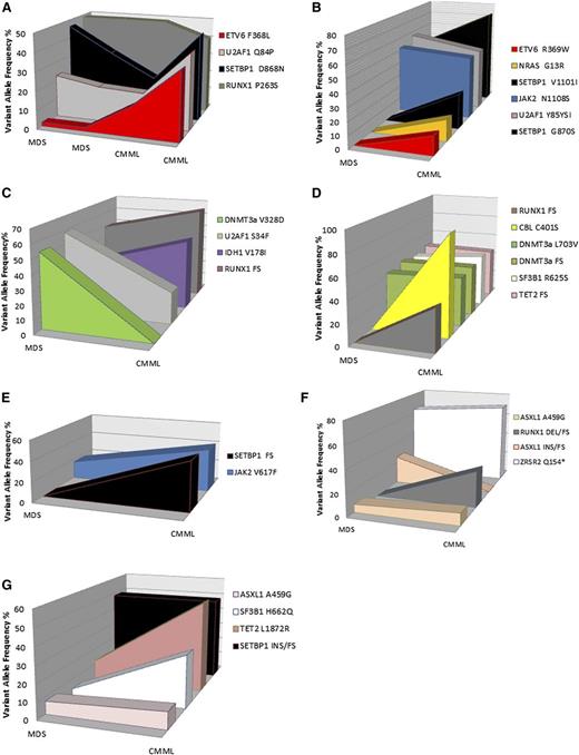 Figure 1. Genetic variants and frequencies of secondary CMML cases with sequential samples. Cases 1 to 7 (A-G, respectively) were sequentially sequenced cases at ≥1 time point of MDS and 1 time point of CMML. Although previously frozen or fresh bone marrow mononuclear cells (BMNCs) and peripheral mononuclear cells (PBMCs) were included in this analysis, sequential samples were only analyzed if they were isolated from the same source. Genes are color coded and VAFs are annotated for each case. The gene sequenced with our targeted gene panel were as follows: ASXL, CBL, CEBPA, DNMT3A, ETV6, EZH2, FLT3, IDH1, IDH2, JAK2, KIT, KRAS, MLL, NPM1, NRAS, RUNX1, SETBP1, SF3B1, SRSF2, TET2, TP53, U2AF1, WT1, ZRSR2, MPL, and ABL1. To be a true mutation, variants must have resulted in a frame shift or nonsense mutation. Missense mutations were only included if they had been previously reported in hematologic malignancies and confirmed to be somatic in the literature.