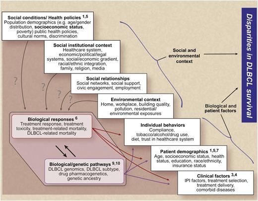 A framework for understanding the relationships between social, environmental, biological, and patient-related factors and disparities in DLBCL survival (numbers indicate example publications from the references that address specific factors). Professional illustration by Debra T. Dartez.