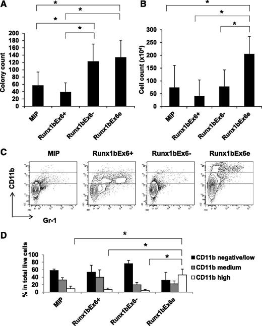 Figure 2. Runx1bEx6− and Runx1bEx6e have higher colony-forming ability than full-length Runx1bEx6+. Lineage-negative BM cells were infected with indicated retroviral constructs. After 1-week selection in 1 μg/mL puromycin, 1 × 105 cells were seeded into methylcellulose in duplicate. One week later, (A) colony counts and (B) cell counts per plate were evaluated. Mean ± SD of 5 independent experiments is shown. (C) Flow cytometric analysis of colony cells. The gating of CD11b-negative/low, -medium, and -high (from bottom to top) is shown in the plots. Representative result of 3 independent experiments is shown. (D) Quantification of the results in panel C. Mean ± SD of 3 independent experiments is shown.